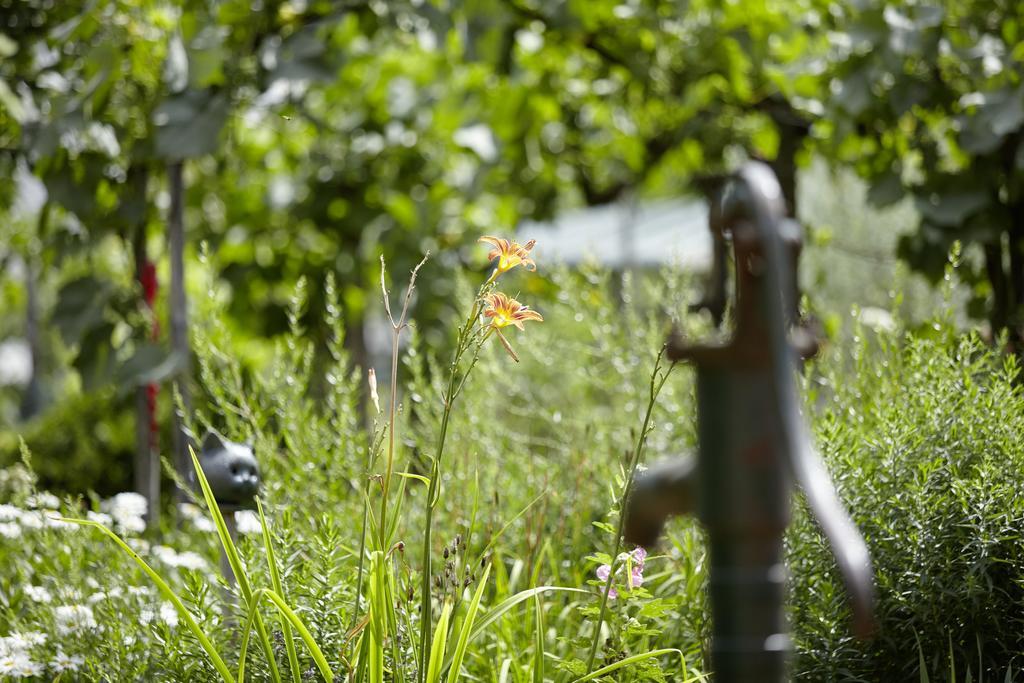 An Der Oelmuehle Kenn Exterior foto